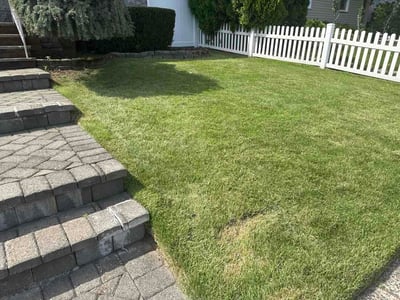 Lawn care service in Fair Lawn, 07410