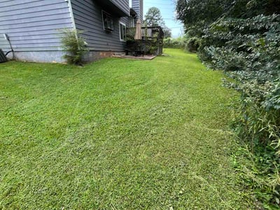 Lawn care service in Morrow, 30260