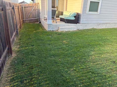 Lawn care service in Jarrell, 76537