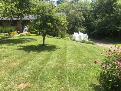 Lawn care service in Cincinnati, 45231