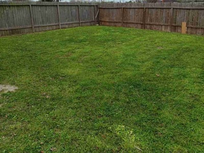 Lawn care service in Houston, 77053