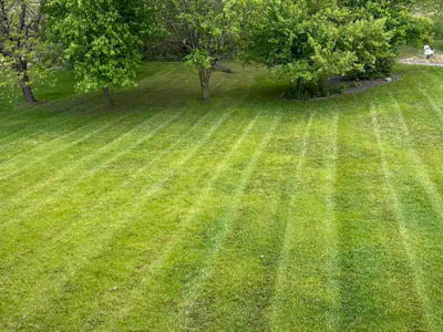 Lawn care service in Chaska, 55318