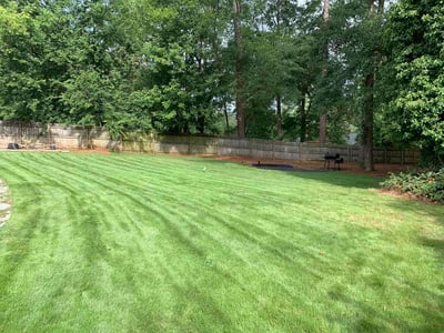 Lawn care service in Atlanta, 30311