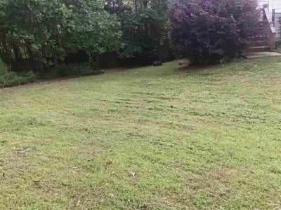 Lawn care service in Marietta, 30066
