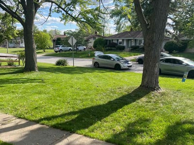 Lawn care service in Munster, 46321