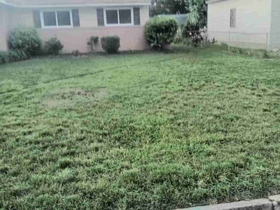 Lawn care service in Hampton, 23666