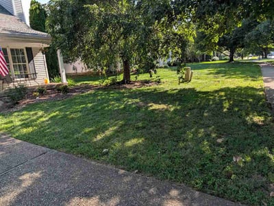 Lawn care service in Louisville, 40245