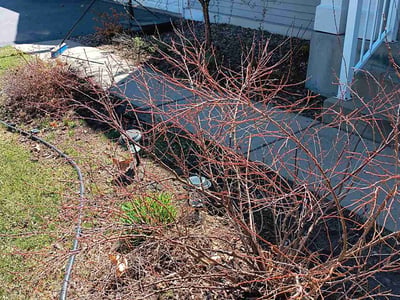 Lawn care service in Cottage Grove, 55016