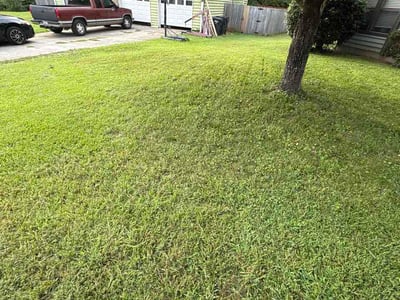 Lawn care service in Marietta, 30066