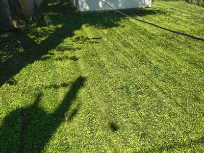 Lawn care service in Bellevue, 68005