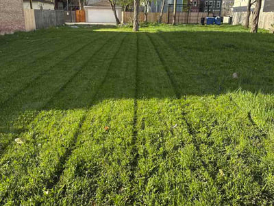 Lawn care service in Chicago, 60624