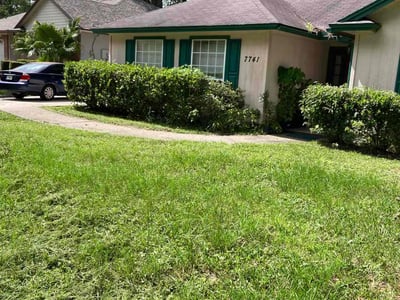 Lawn care service in , 