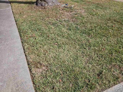Lawn care service in Charlotte, 28205