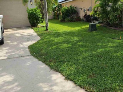Lawn care service in Palmetto, 34221