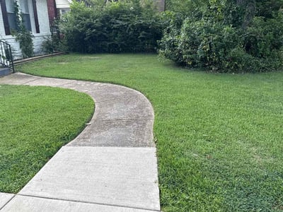 Lawn care service in Memphis, 38114