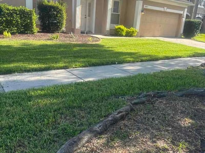Lawn care service in Orlando, 32828