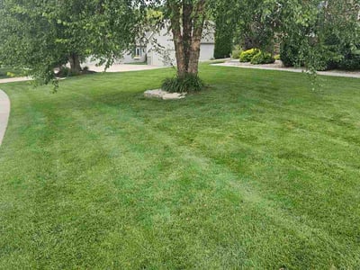 Lawn care service in Omaha, 68022