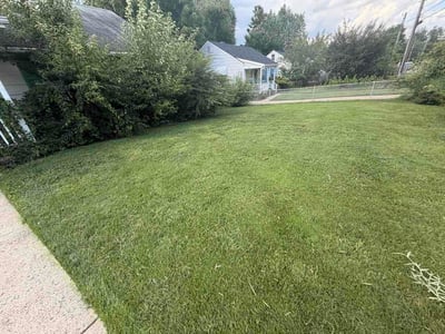 Lawn care service in Falls Church, 22043