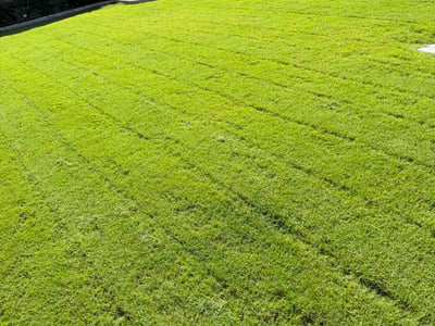 Lawn care service in Athens, 35613