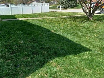 Lawn care service in Kansas City, 66106