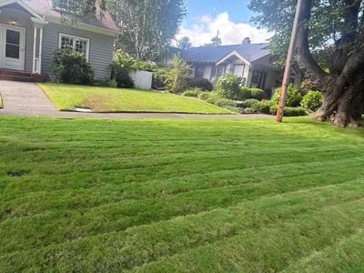 Lawn care service in Tacoma, 98407