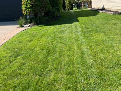 Lawn care service in Galloway, 43119