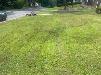 Lawn care service in Atlanta, 30319