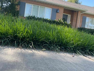 Lawn care service in Layton, 84040