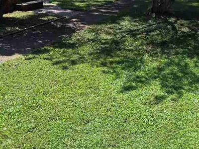 Lawn care service in Decatur, 35601