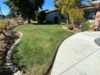 Lawn care service in Elk Grove, 95624