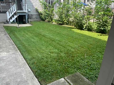 Lawn care service in Chicago, 60647