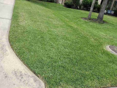 Lawn care service in Montgomery, 77316