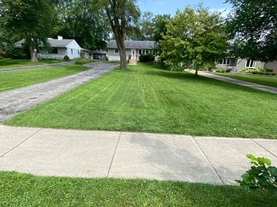 Lawn care service in Lombard, 60148