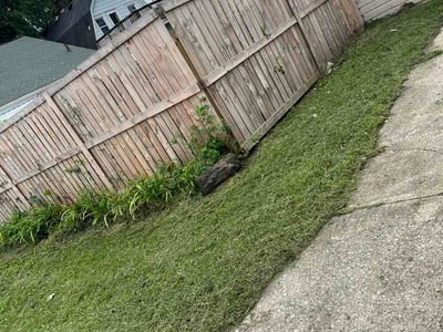 Lawn care service in Toledo, 43609