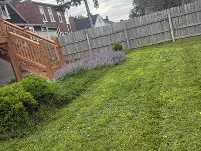 Lawn care service in St. Louis, 63109