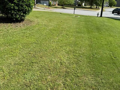 Lawn care service in Powder Springs, 30127