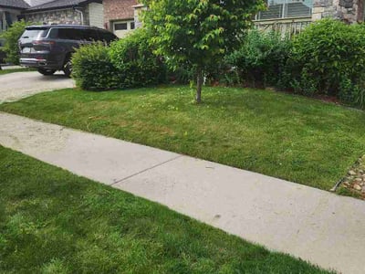Lawn care service in Fort Collins, 80525