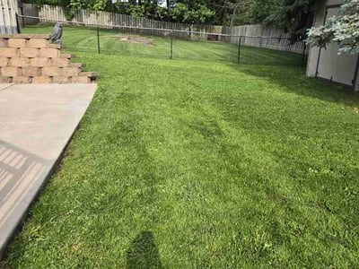 Lawn care service in Stillwater, 55082
