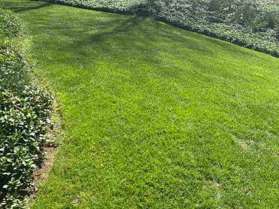 Lawn care service in Monroeville, 15146
