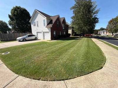 Lawn care service in Hampton, 30228