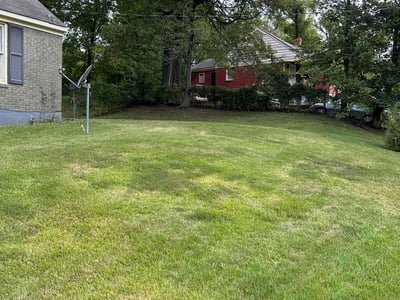 Lawn care service in Memphis, 38127