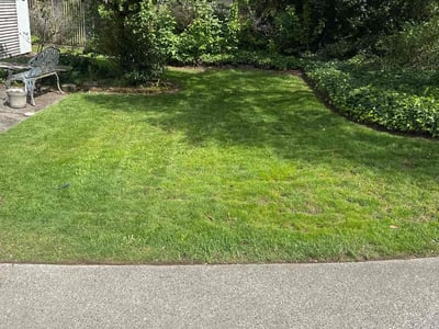 Lawn care service in Shoreline, 98133