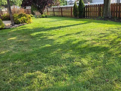 Lawn care service in Willoughby, 44094