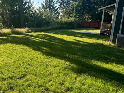 Lawn care service in Auburn, 98092