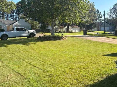 Lawn care service in Woodstock, 30188