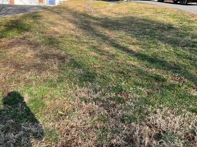 Lawn care service in , 