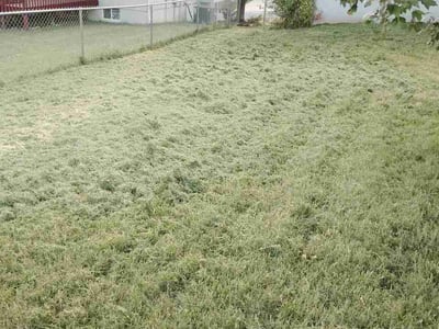 Lawn care service in Independence, 64056