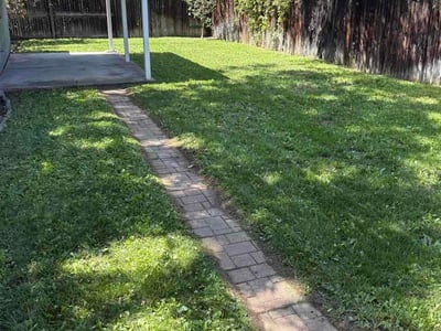 Lawn care service in Denver, 80220
