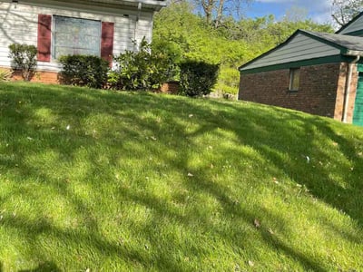 Lawn care service in Cincinnati, 45237