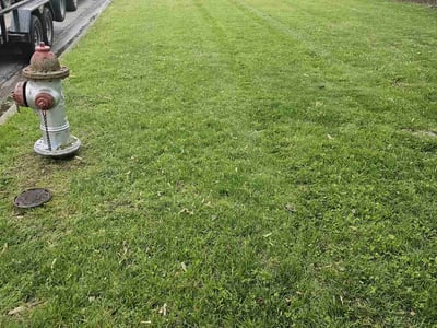 Lawn care service in Columbus, 43230